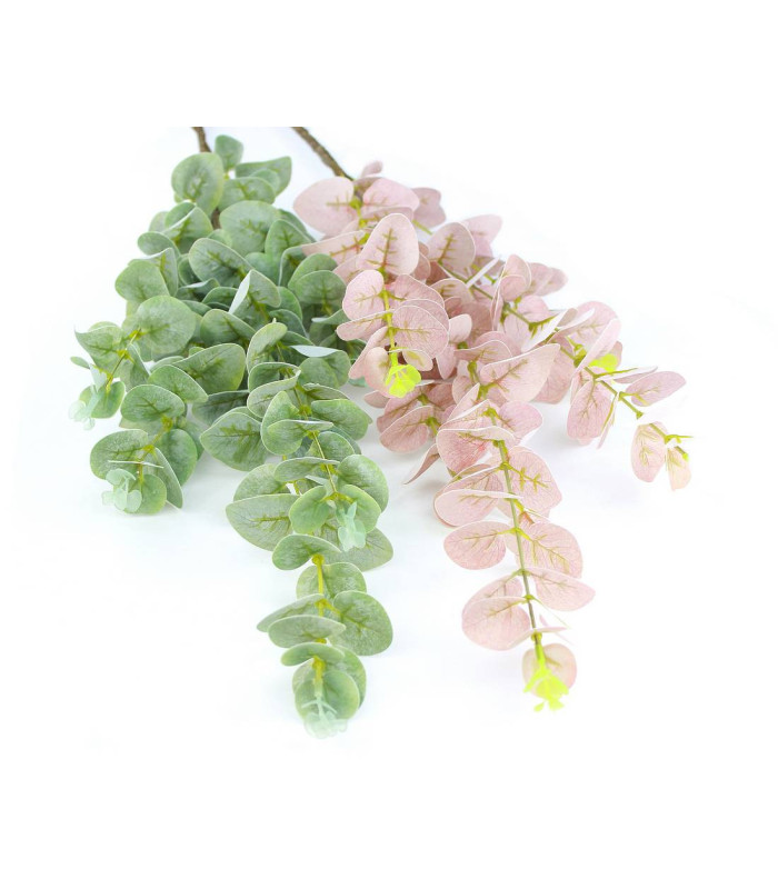 Branche d'eucalyptus "GREEN BOX"