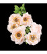 TIGE DE 6 FLEURS "ZINNIA"