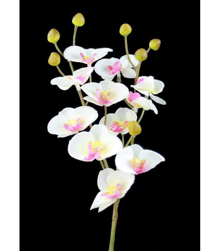 ORCHIDÉE "MINI"  - 11 FLEURS