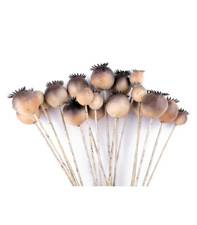 GRAINE DE PAVOT - FLEUR ARTIFICIELLE