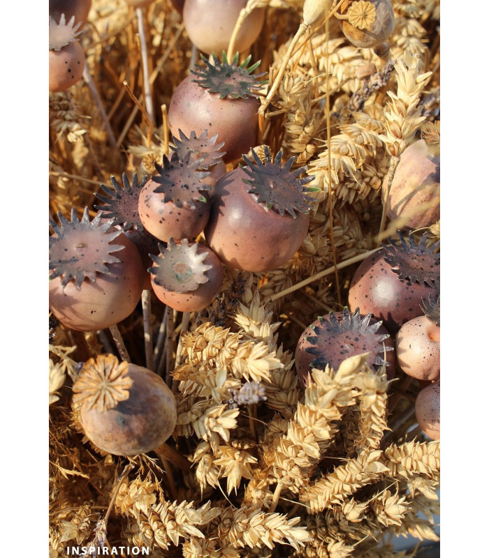 GRAINE DE PAVOT - FLEUR ARTIFICIELLE