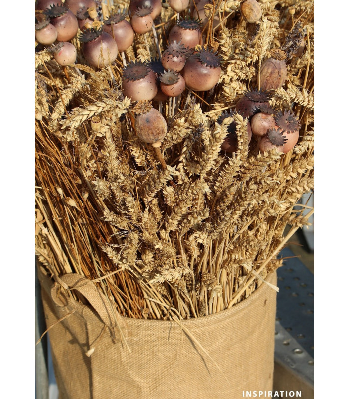 GRAINE DE PAVOT - FLEUR ARTIFICIELLE