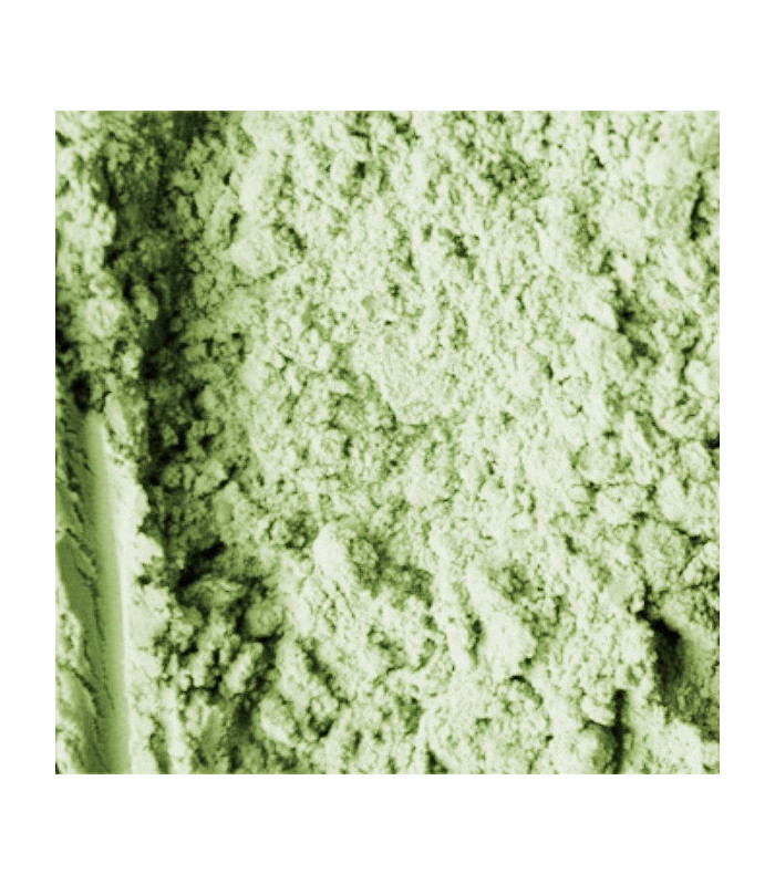 Pwercolor vert claire 40 g