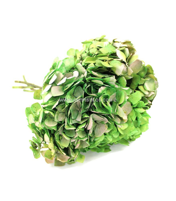 BOUQUET HORTENSIA PRÉSERVÉE