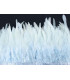 FRANGE DE PLUMES DE COQ 10 CMS.