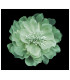 FLEUR TISSU "RUNA" 14 cm