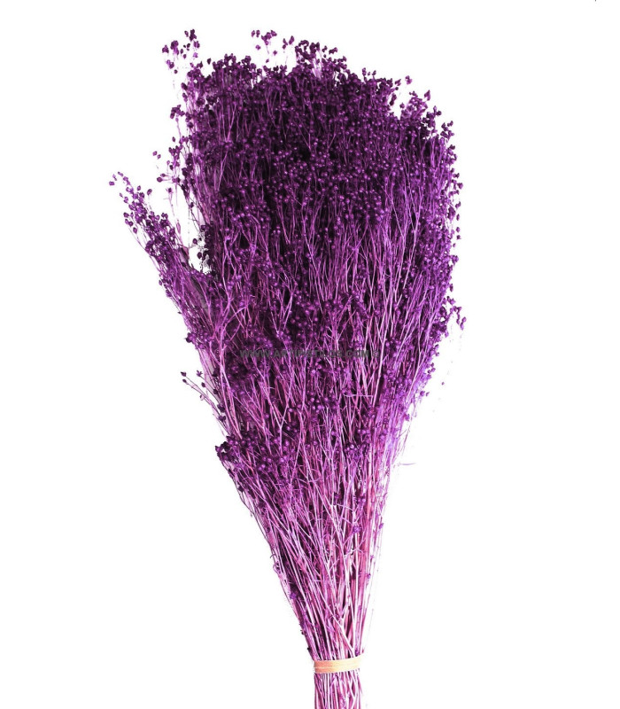 Fleur préservée
