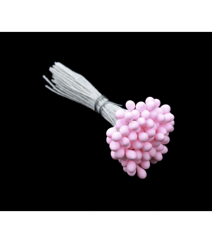BOUQUET 90 PISTILS 5 MM. MAT TIGE FIL DE FER