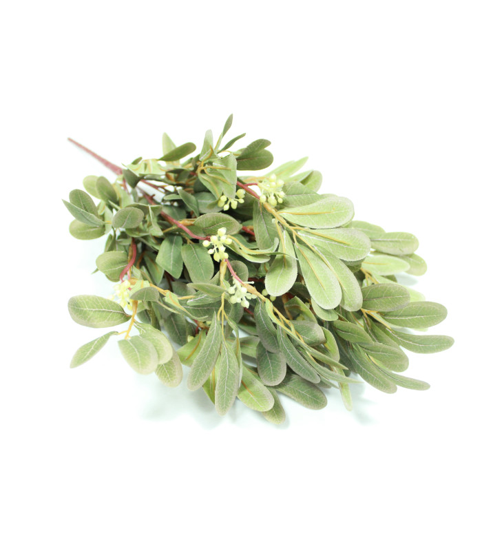 BOUQUET DE MIMOSA X 9 BRANCHES