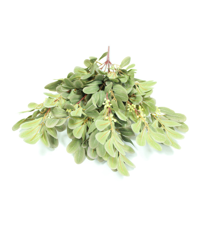 BOUQUET DE MIMOSA X 9 BRANCHES