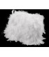 Frange plume de dinde 25 cms.