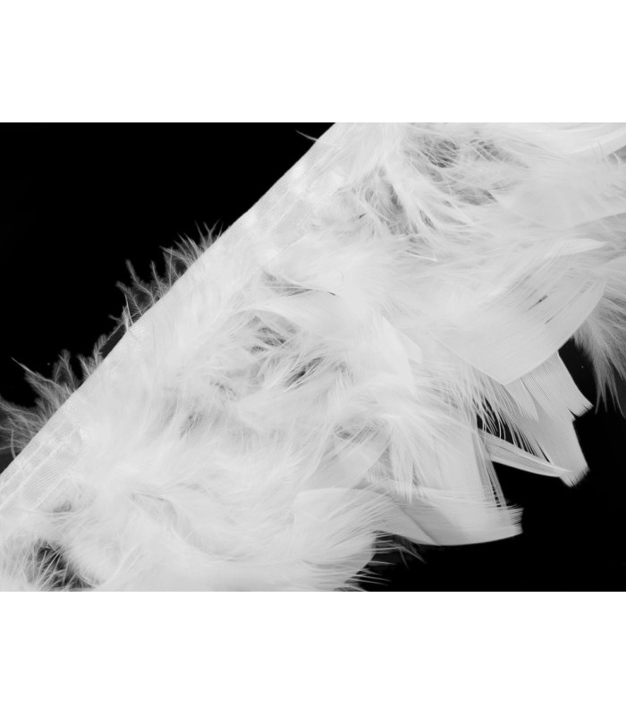 Frange plume de dinde