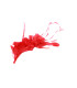 MONTAGE DE PLUMES COQ, CANARD ET OIE