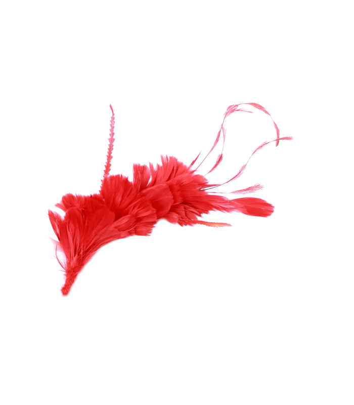 MONTAGE DE PLUMES COQ, CANARD ET OIE