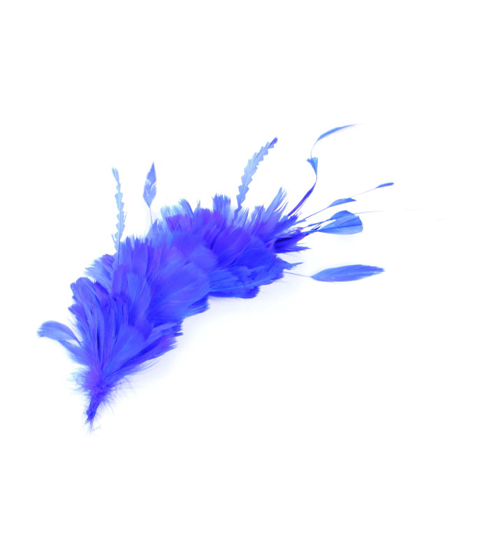 MONTAGE DE PLUMES COQ, CANARD ET OIE