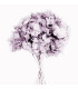 Hortensia préservé naturel