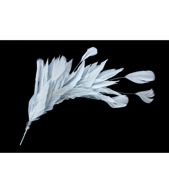 MONTAGE DE PLUMES DE CANARD ET ANTENNE COQ