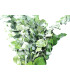 BRANCHE D'EUCALYPTUS "NATURE"