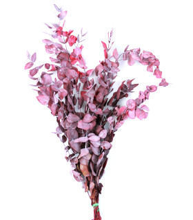 BRANCHE D'EUCALYPTUS "NATURE"