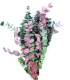 BRANCHE D'EUCALYPTUS "NATURE"