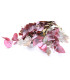 BRANCHE D'EUCALYPTUS "NATURE"