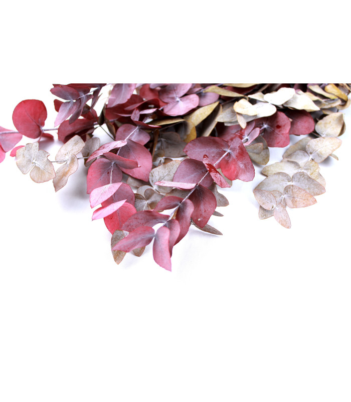 BRANCHE D'EUCALYPTUS "NATURE"
