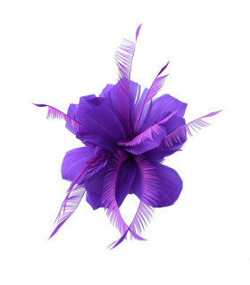 ASSEMBLAGE DE PLUMES DE CANARD ET D'OIE BIOT