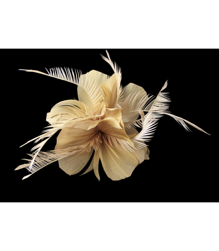 ASSEMBLAGE DE PLUMES DE CANARD ET D'OIE BIOT