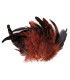 SAC PLUMES DE COQ 10-17 CMS.