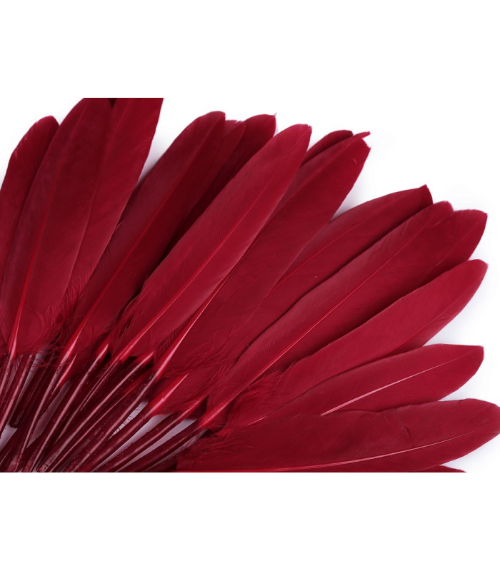 SAC 20 PLUMES DE CANARD 9-14 CMS.