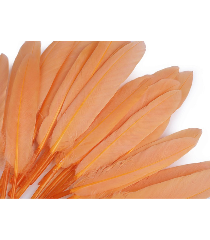 SAC 20 PLUMES DE CANARD 9-14 CMS.
