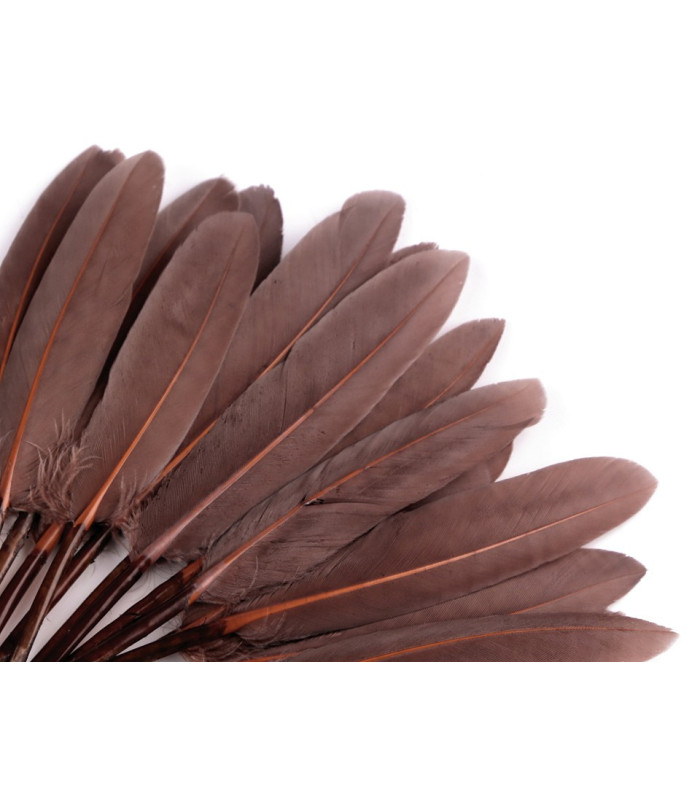 SAC 20 PLUMES DE CANARD 9-14 CMS.