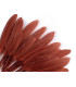 SAC 20 PLUMES DE CANARD 9-14 CMS.