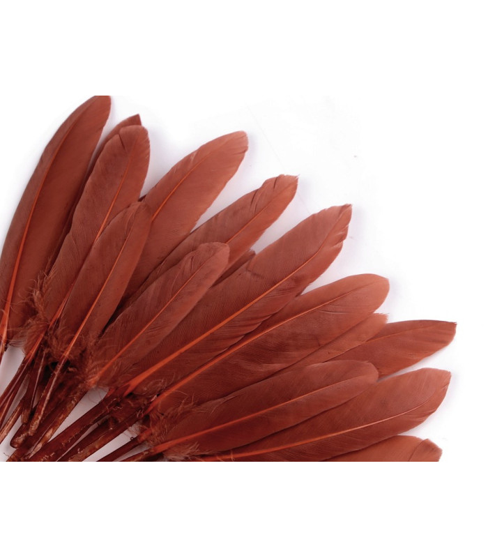 SAC 20 PLUMES DE CANARD 9-14 CMS.