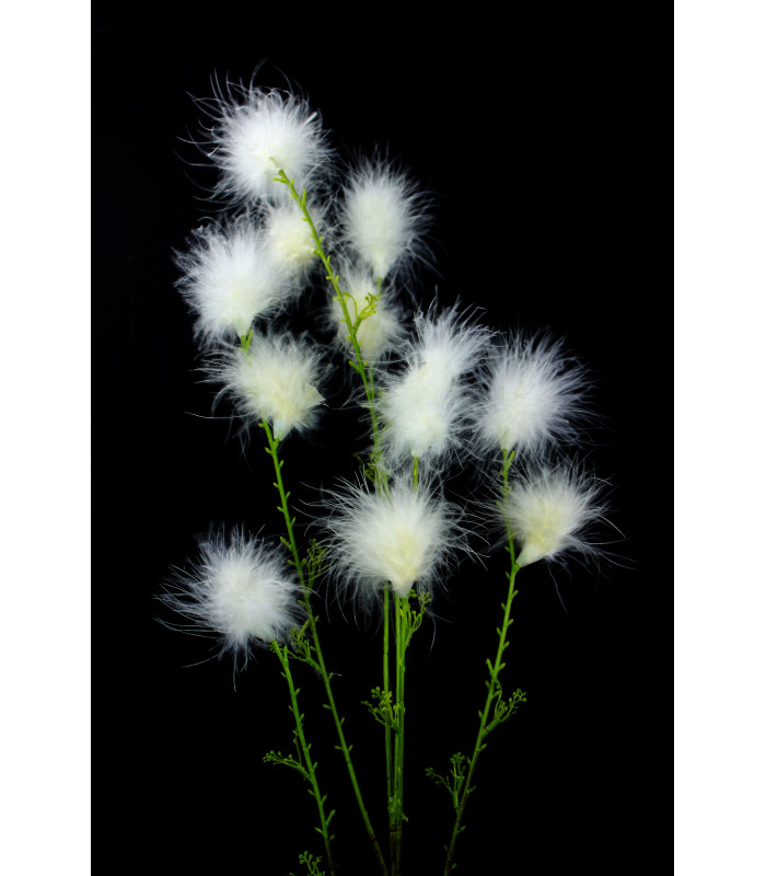 FLEUR DE PLUME DE MARABOU