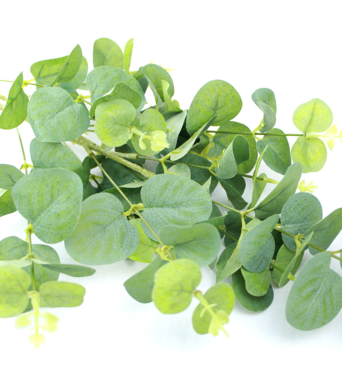 Branche d'eucalyptus "MELBOURNE"