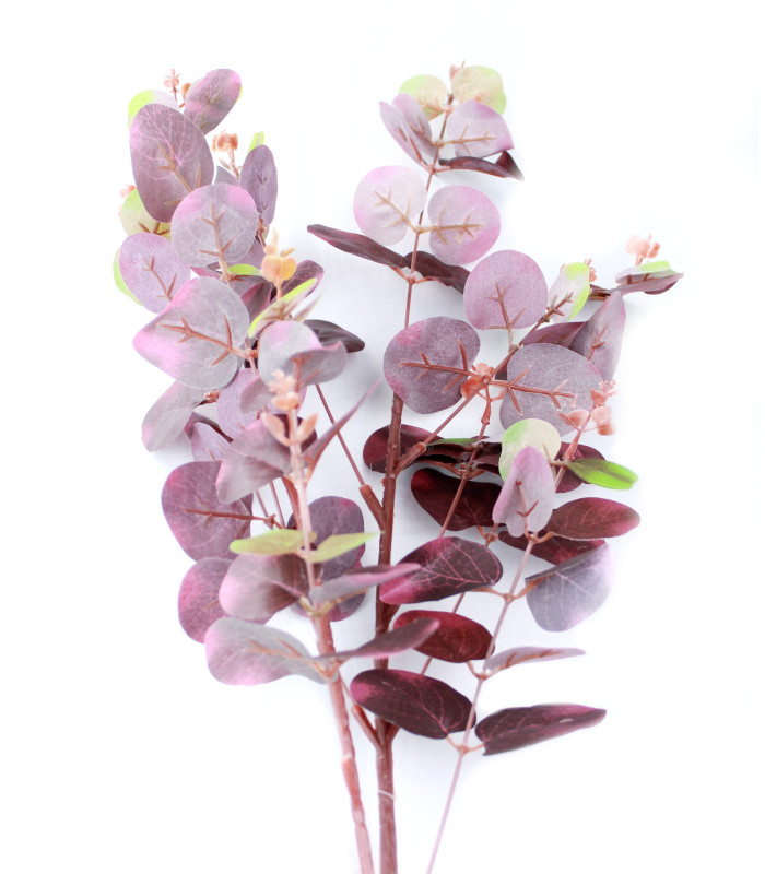 Branche d'eucalyptus "GREEN BOX"