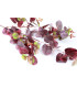Branche d'eucalyptus "GREEN BOX"