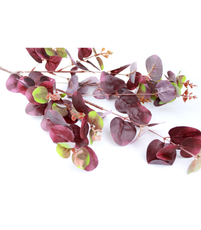Branche d'eucalyptus "GREEN BOX"