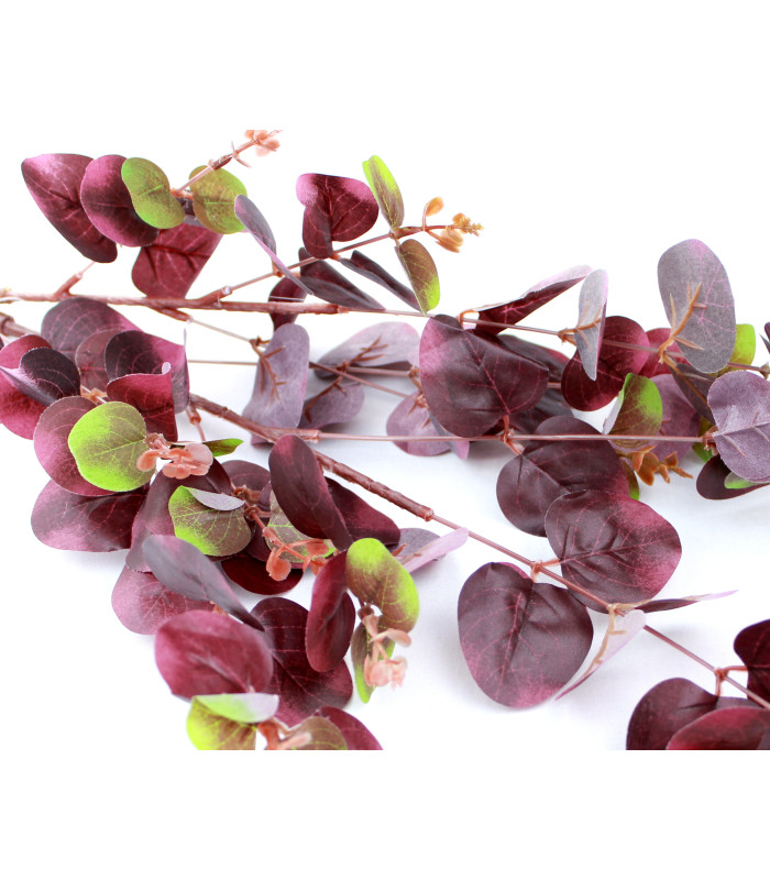 Branche d'eucalyptus "MELBOURNE"