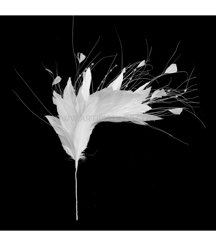 MONTAGE DE PLUMES COQ/AUTRUCHE/OIE