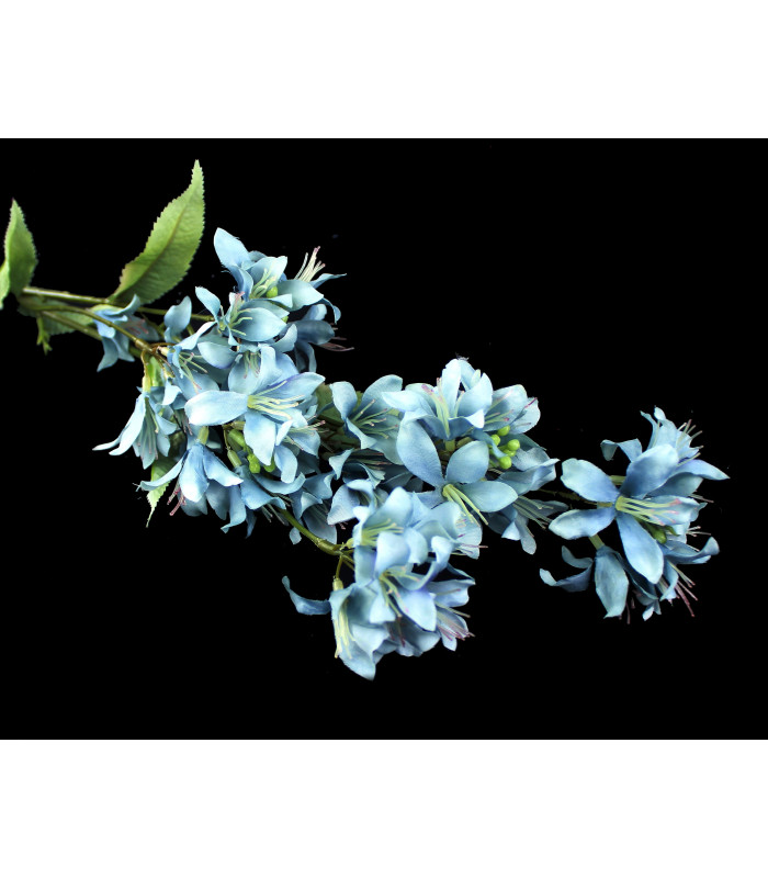 Fleur de jasmin " BARBADOS"