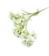 Branche d'eucalyptus "MELBOURNE"