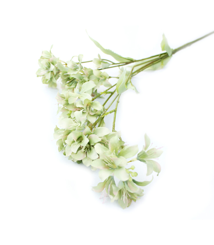 Branche d'eucalyptus "MELBOURNE"