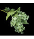Bouquet de lilas "SYRINGA"