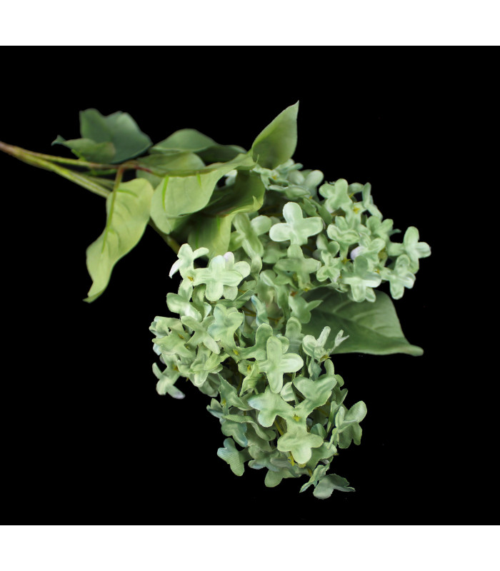 Bouquet de lilas "SYRINGA"