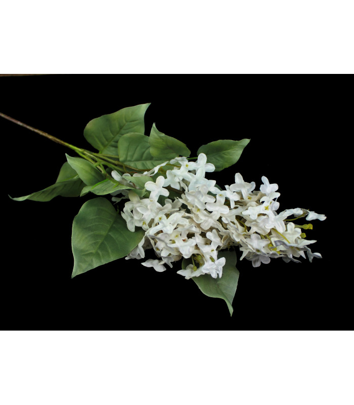 Bouquet de lilas "SYRINGA"