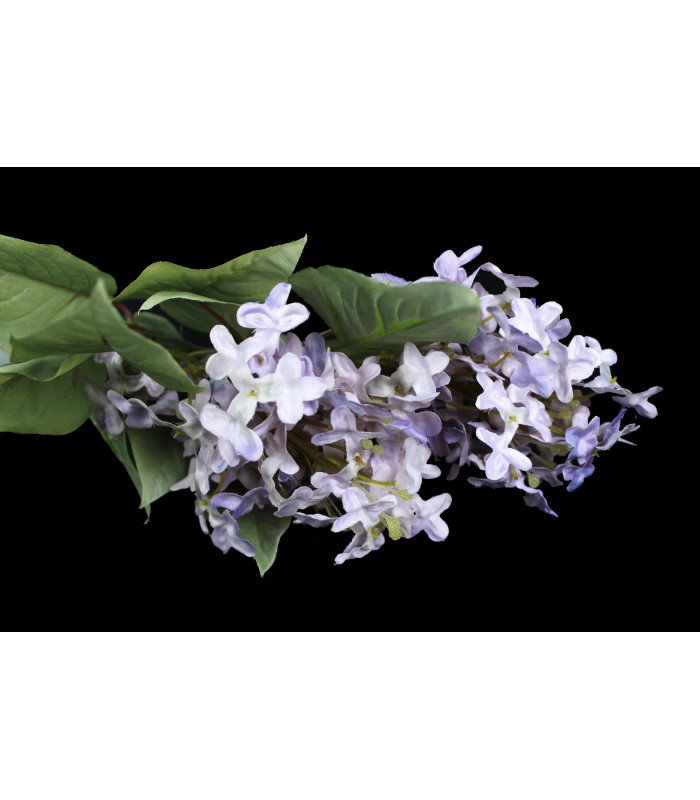 Bouquet de lilas "SYRINGA"