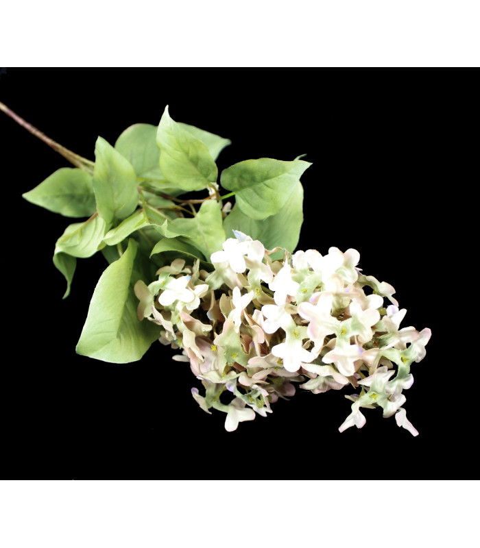 Bouquet de lilas "SYRINGA"