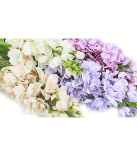 Bouquet de fleurs "Delphinium"